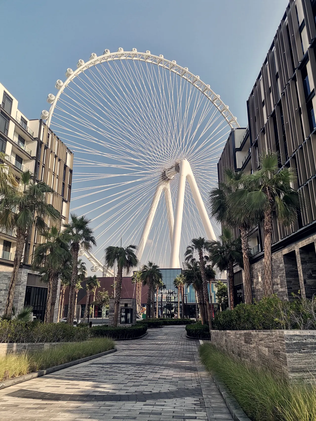 Ain Dubai seen from a Bluewaters Island street