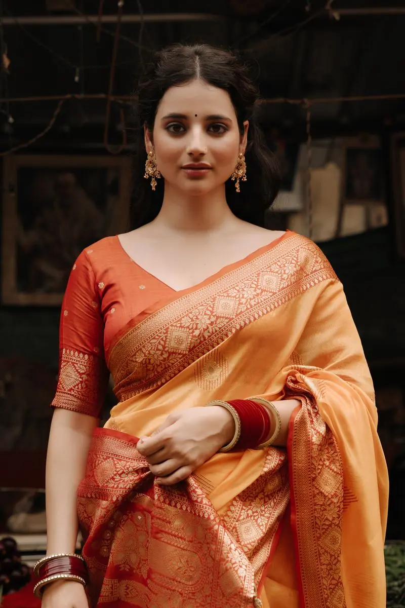 A Banarasi saree with fine zari work